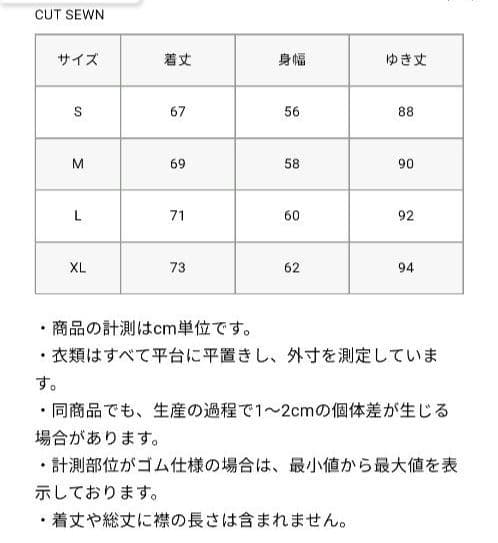 BIG LOGO L/S BAGGY TEE　ブリストル