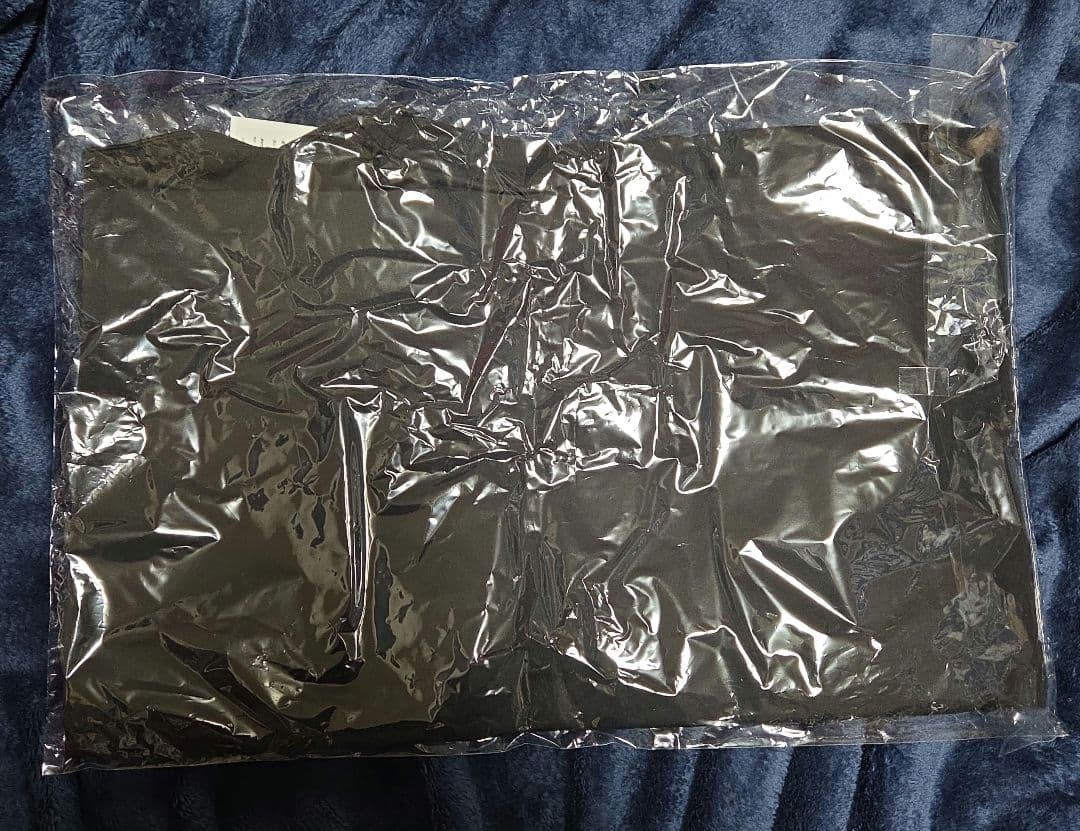 BIG LOGO L/S BAGGY TEE　ブリストル