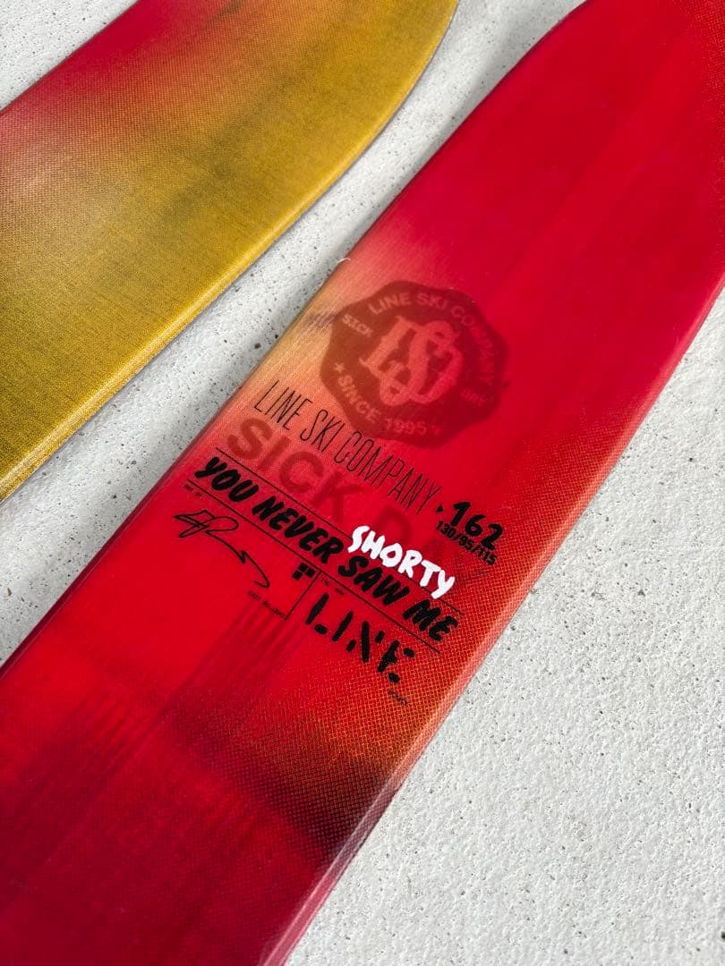 フリースキー　LINE SICK DAY 95