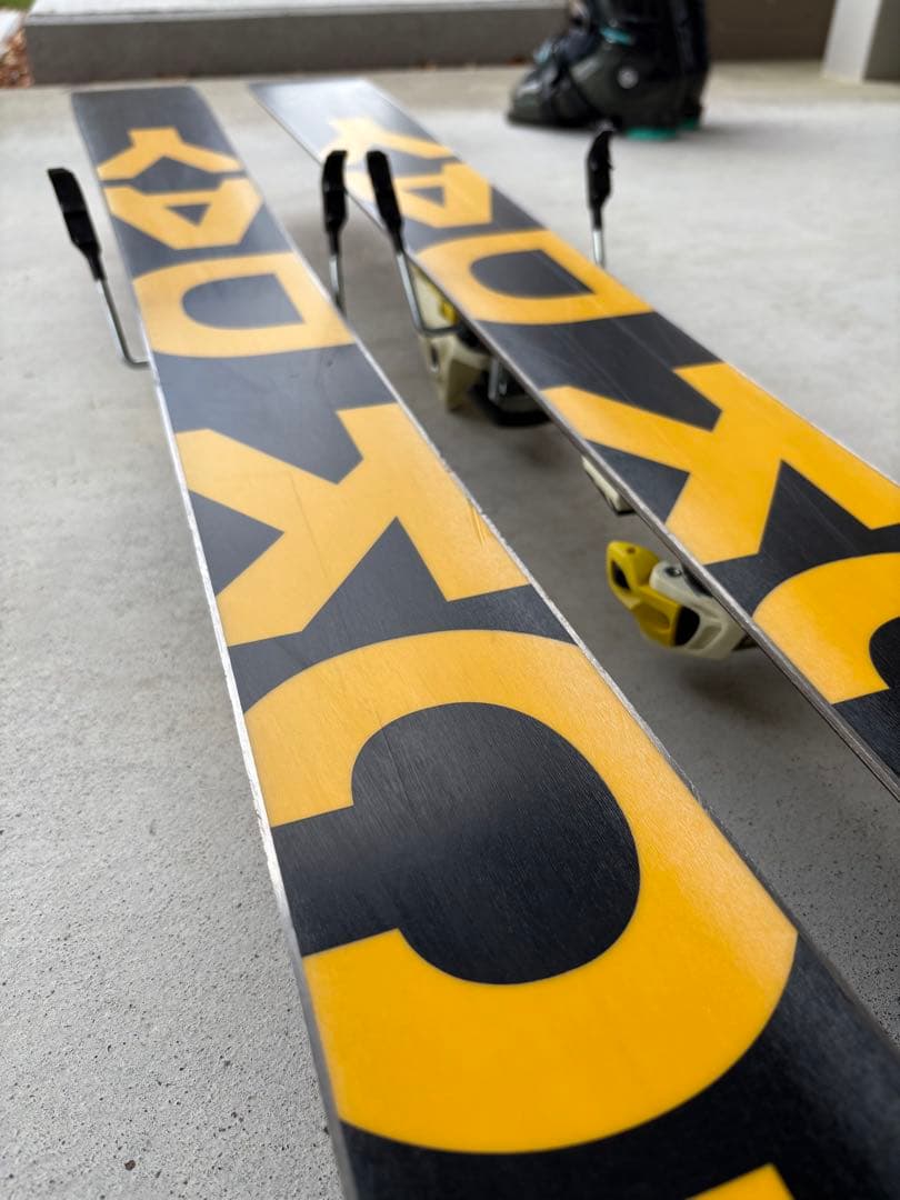 フリースキー　LINE SICK DAY 95