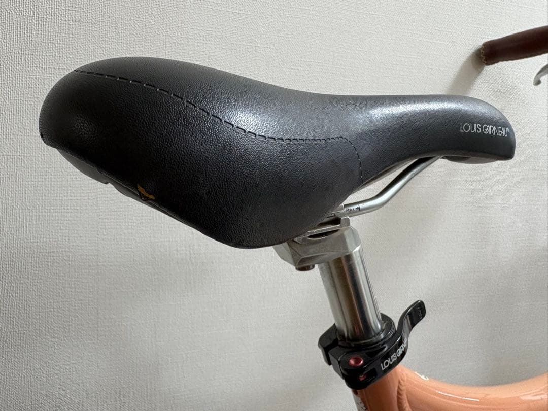 【引取限定】LOUIS GARNEAU MV1 ルイガノ ミニベロ 折りたたみ