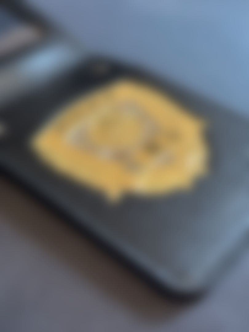 【〜11/25特別割引】すぐ発送　コスプレ用　警察手帳レプリカ