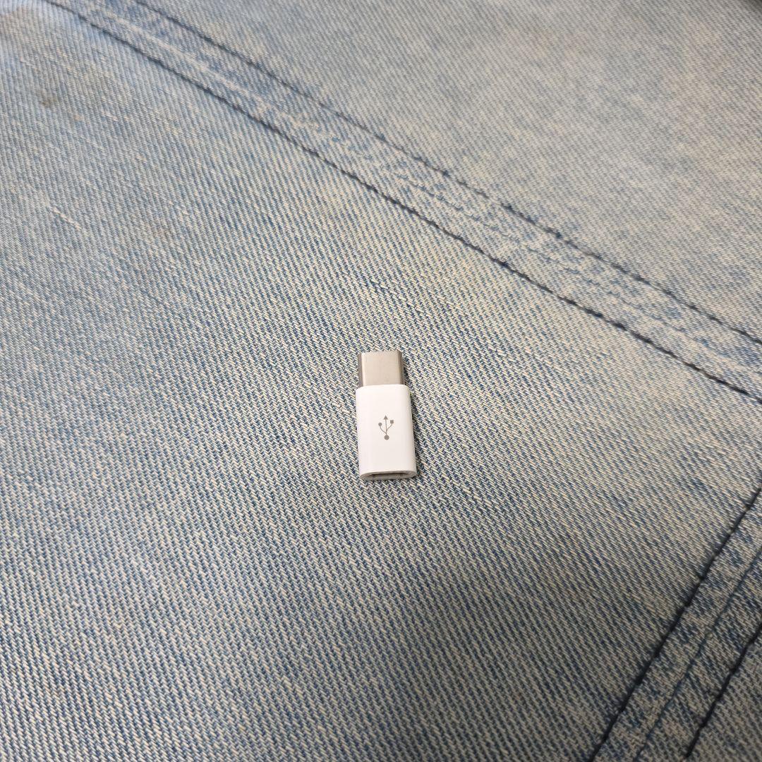 任天堂　Switch スイッチ Lite ザシアン・ザマゼンタ　ジャンク