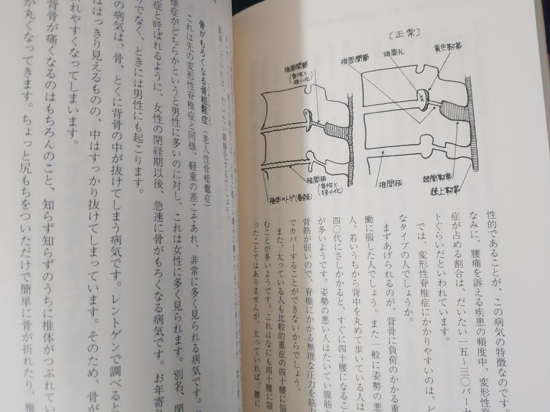 腰痛に勝つ 菅原暁