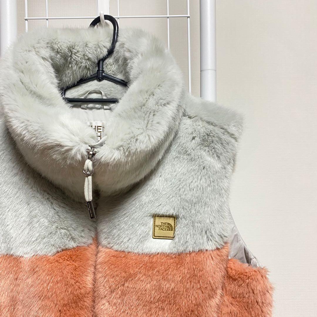 THE NORTH FACE / ザ ノースフェイス ダウンベスト　レア