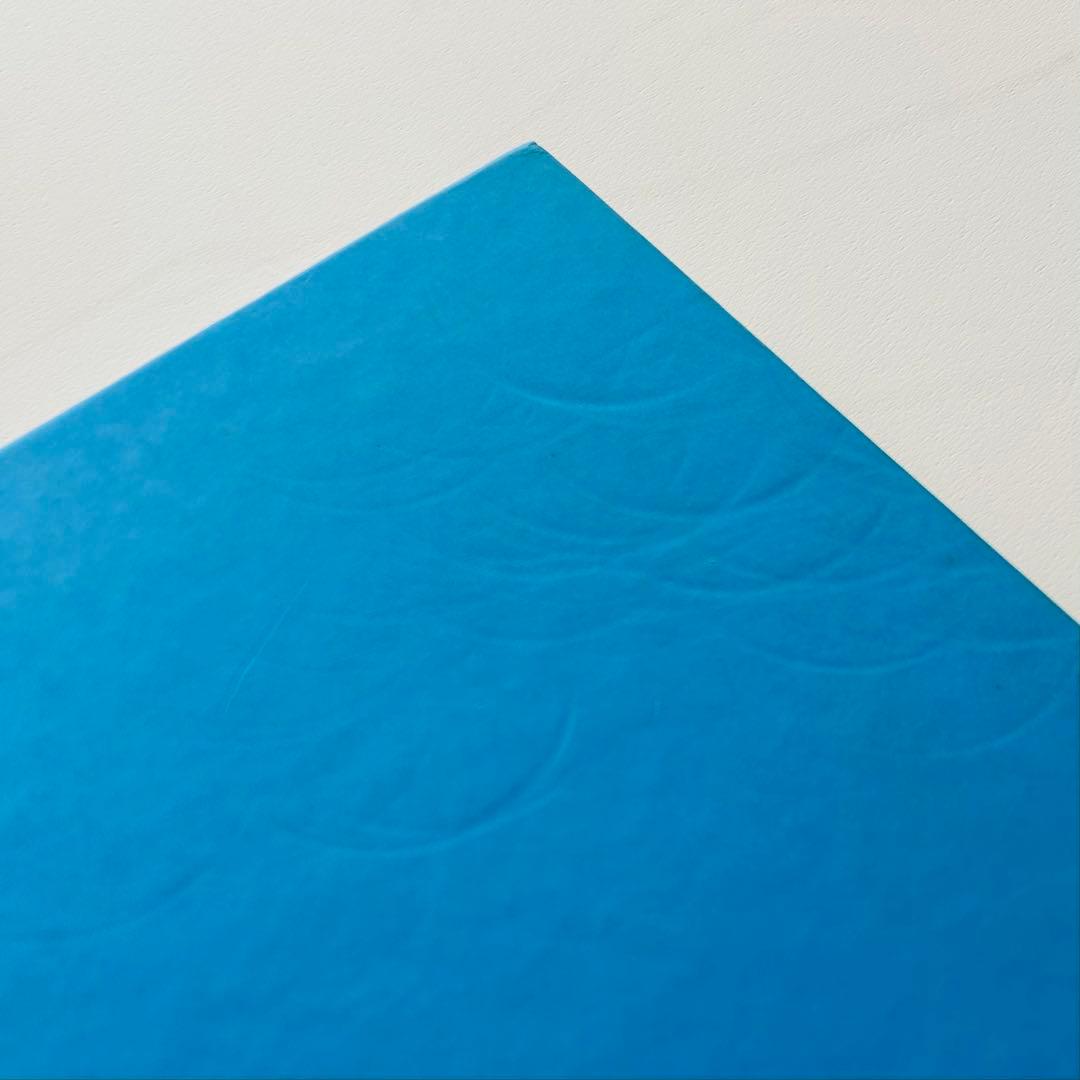 パトリック・デマルシェリエ exposing elegance