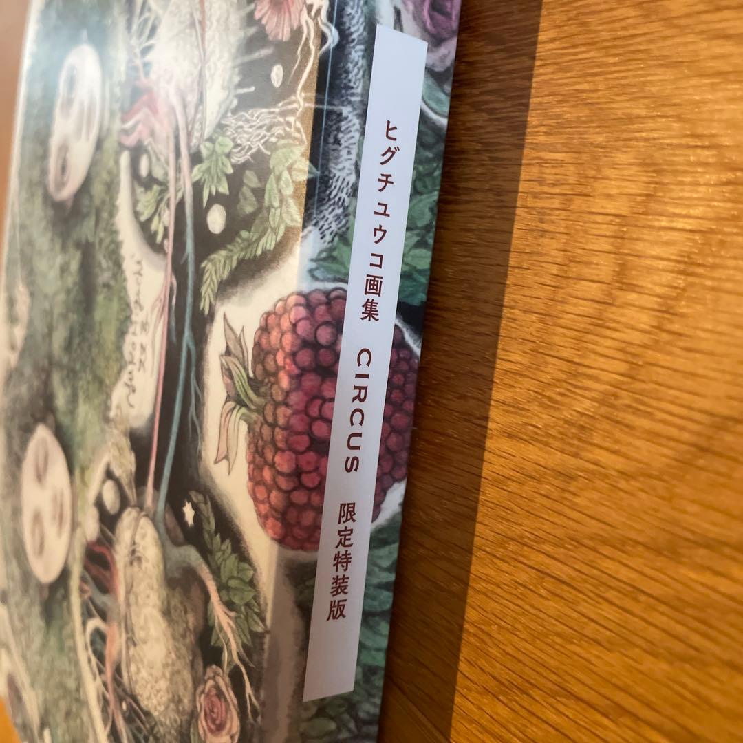 ヒグチユウコ画集 CIRCUS 限定特装版