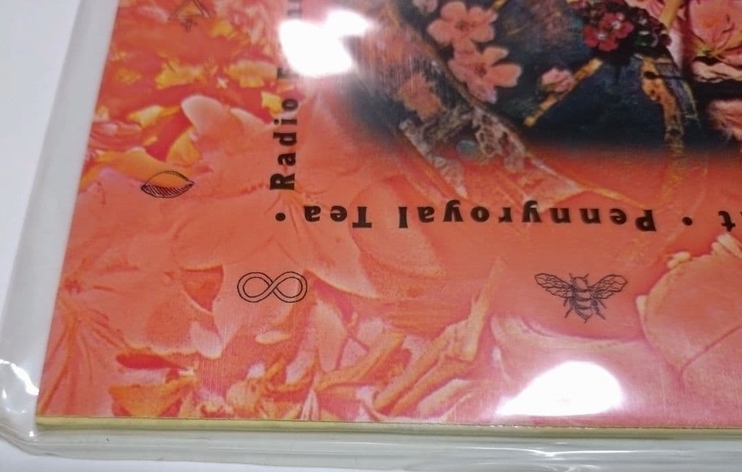 NIRVANA ニルヴァーナ IN UTERO レコード 1993年