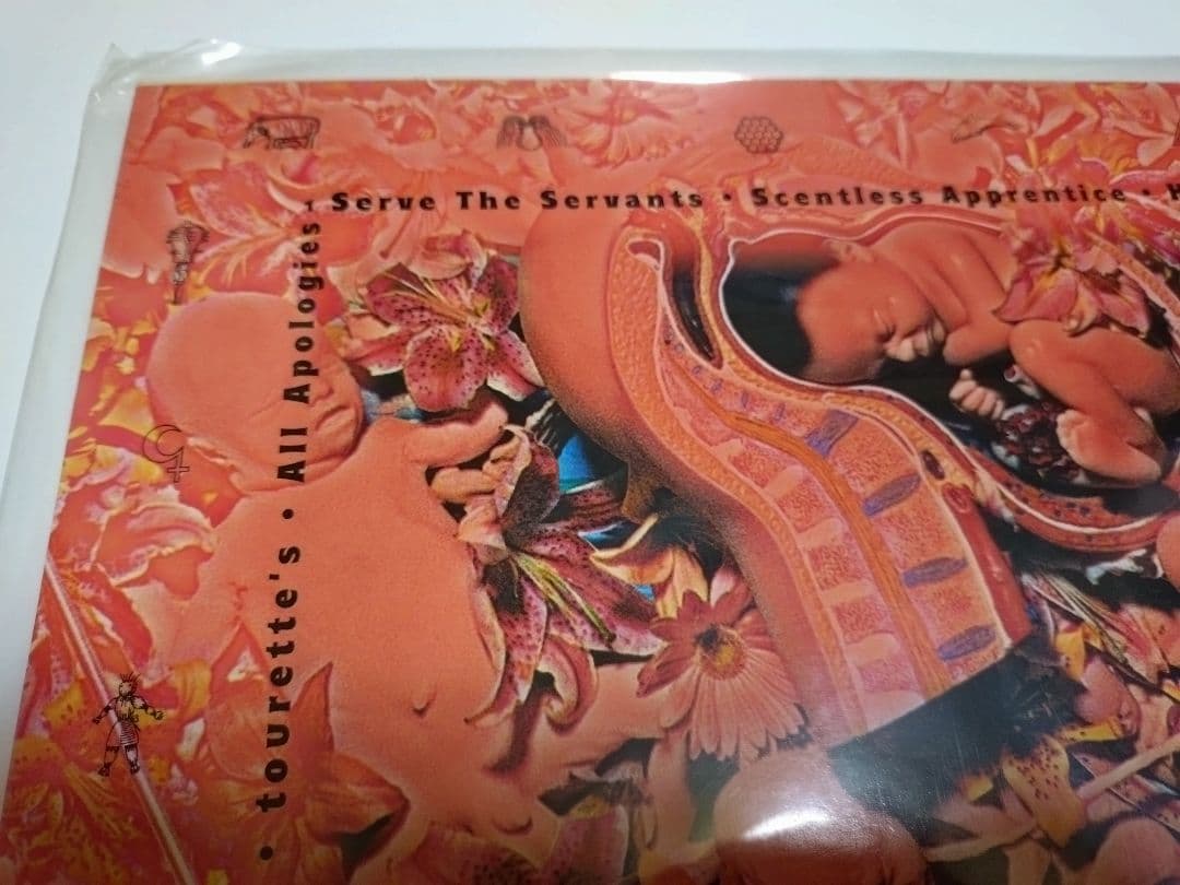 NIRVANA ニルヴァーナ IN UTERO レコード 1993年