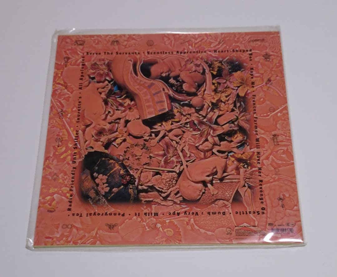 NIRVANA ニルヴァーナ IN UTERO レコード 1993年