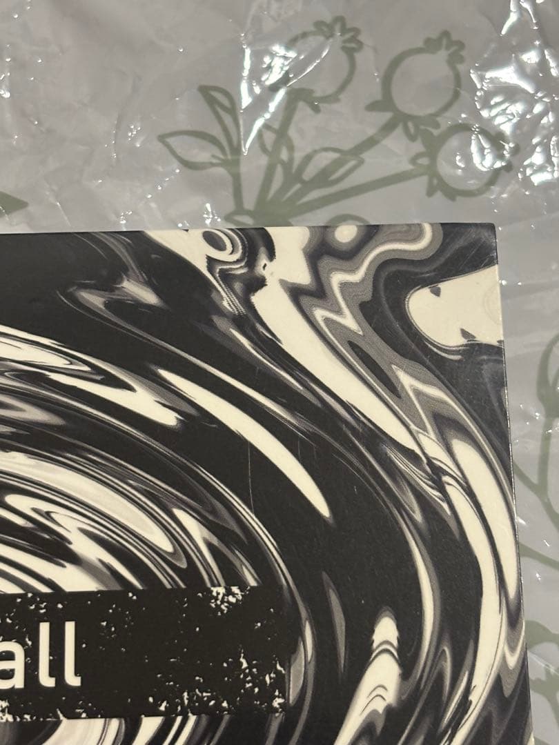 ONE OK ROCK Skyfall 正規品 CD