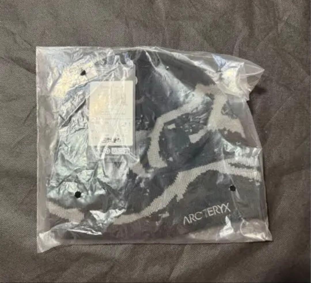 ARC'TERYX ニット帽