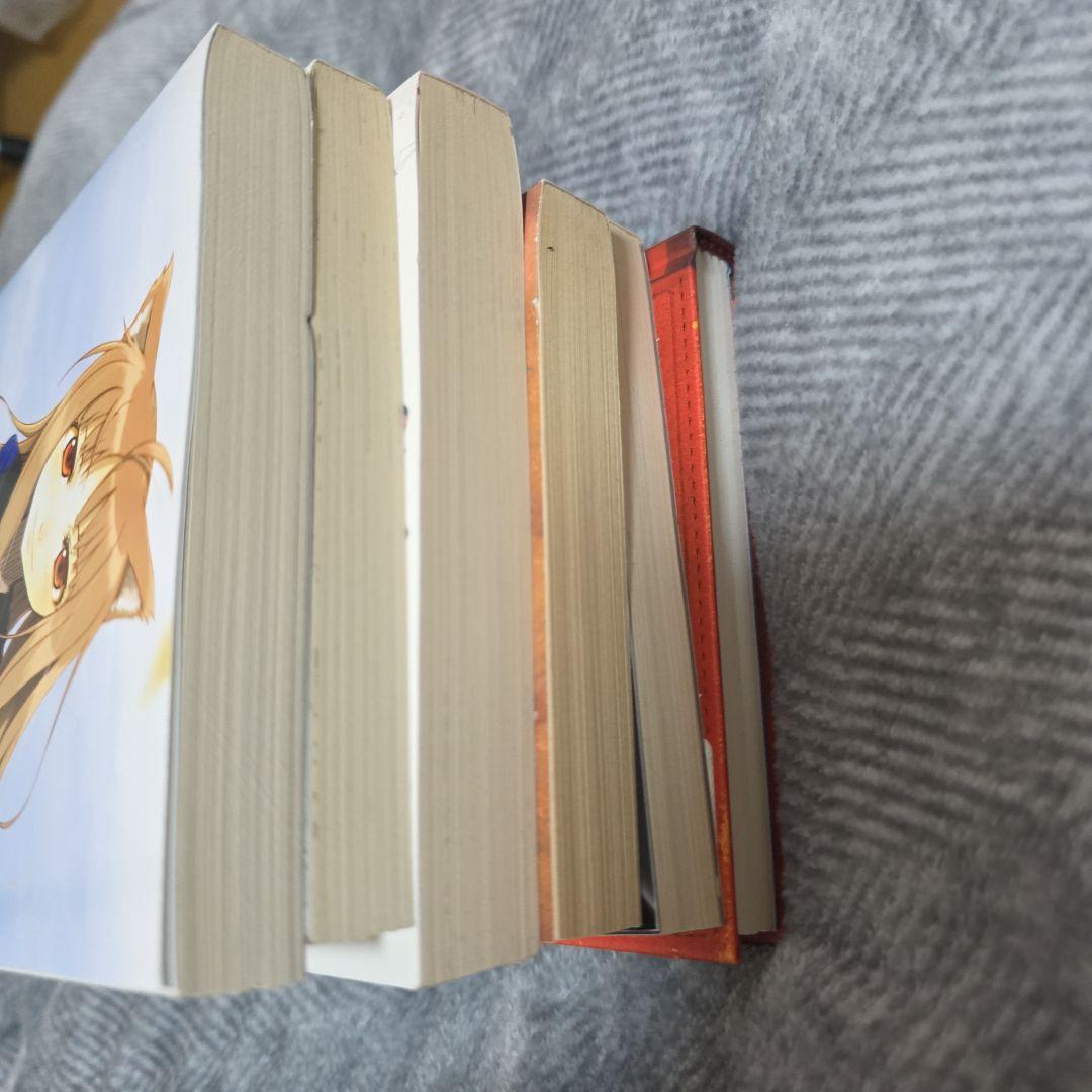 洋書セット：ライトノベルなど