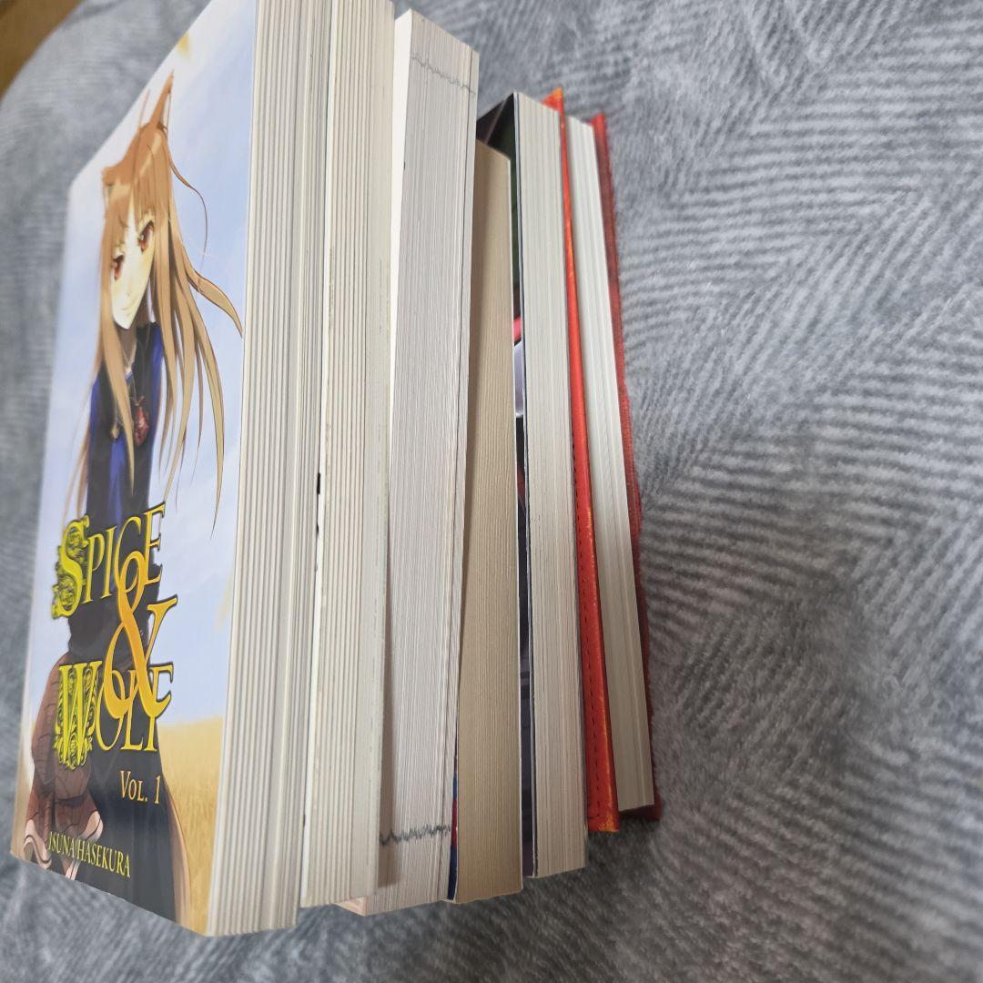 洋書セット：ライトノベルなど