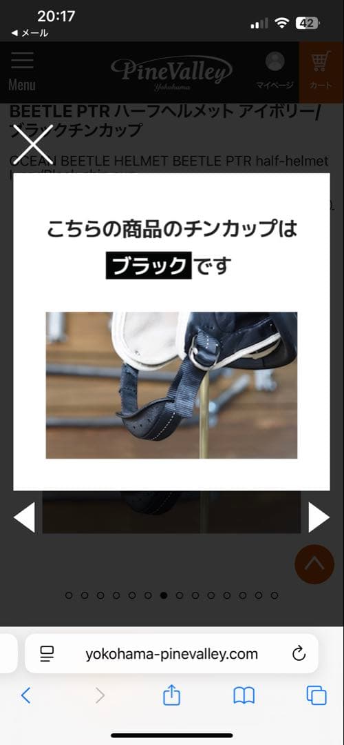 オーシャンビートル（OCEAN BEETLE）BEETLE PTR ヘルメット