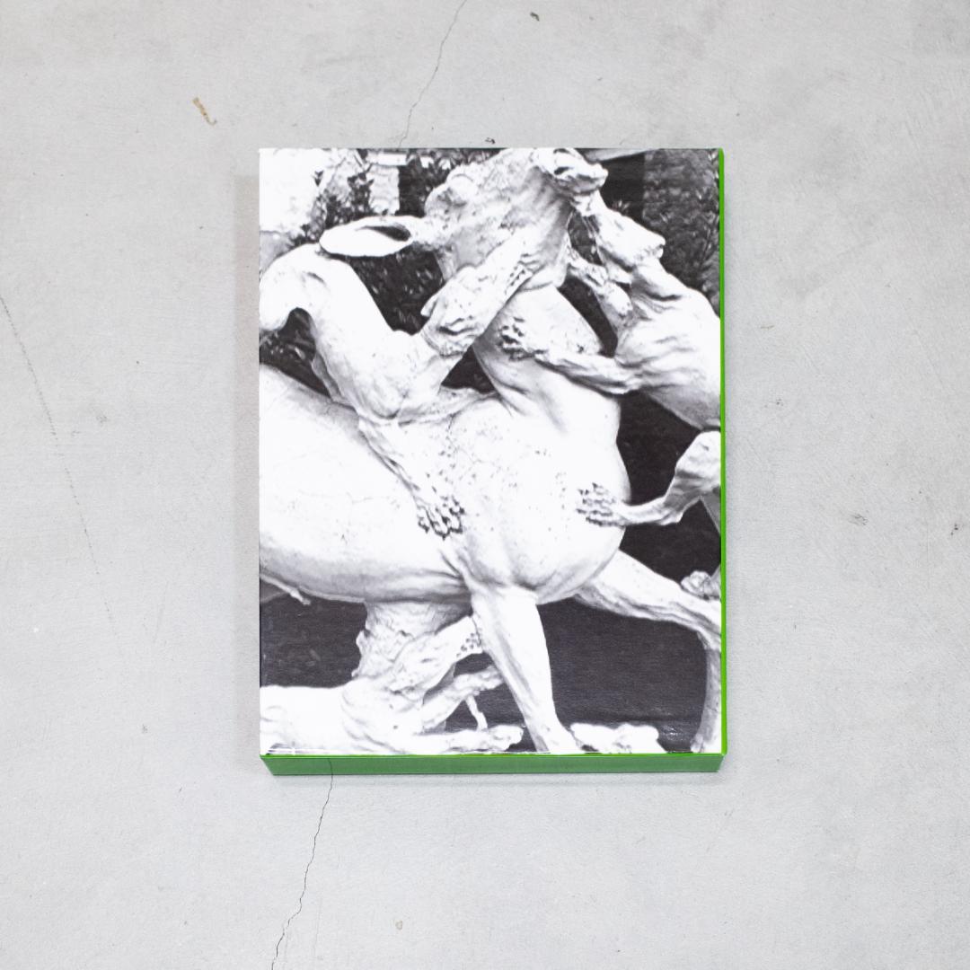 GUCCI by Harmony Korine ハーモニー コリン 本