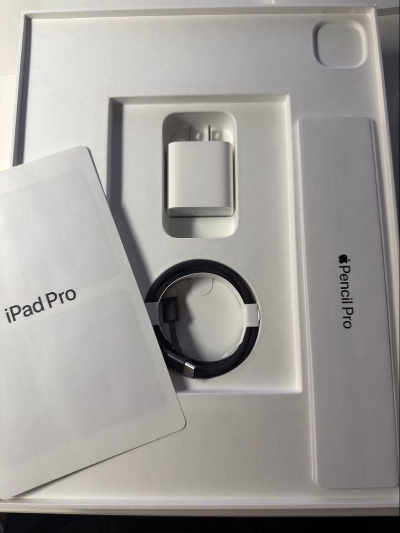 iPad Pro M4 13インチ & 最新Apple pencil