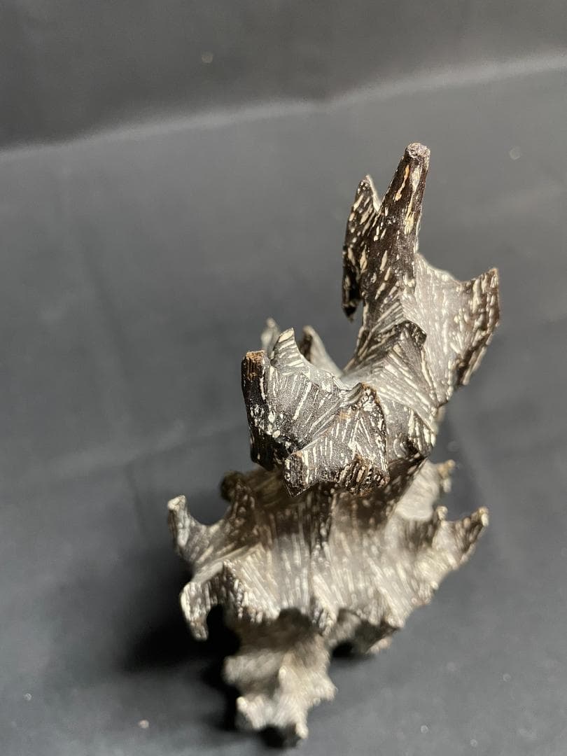 【希少】香木 260ｇ 沈香 沈水香 100年以上　　102420