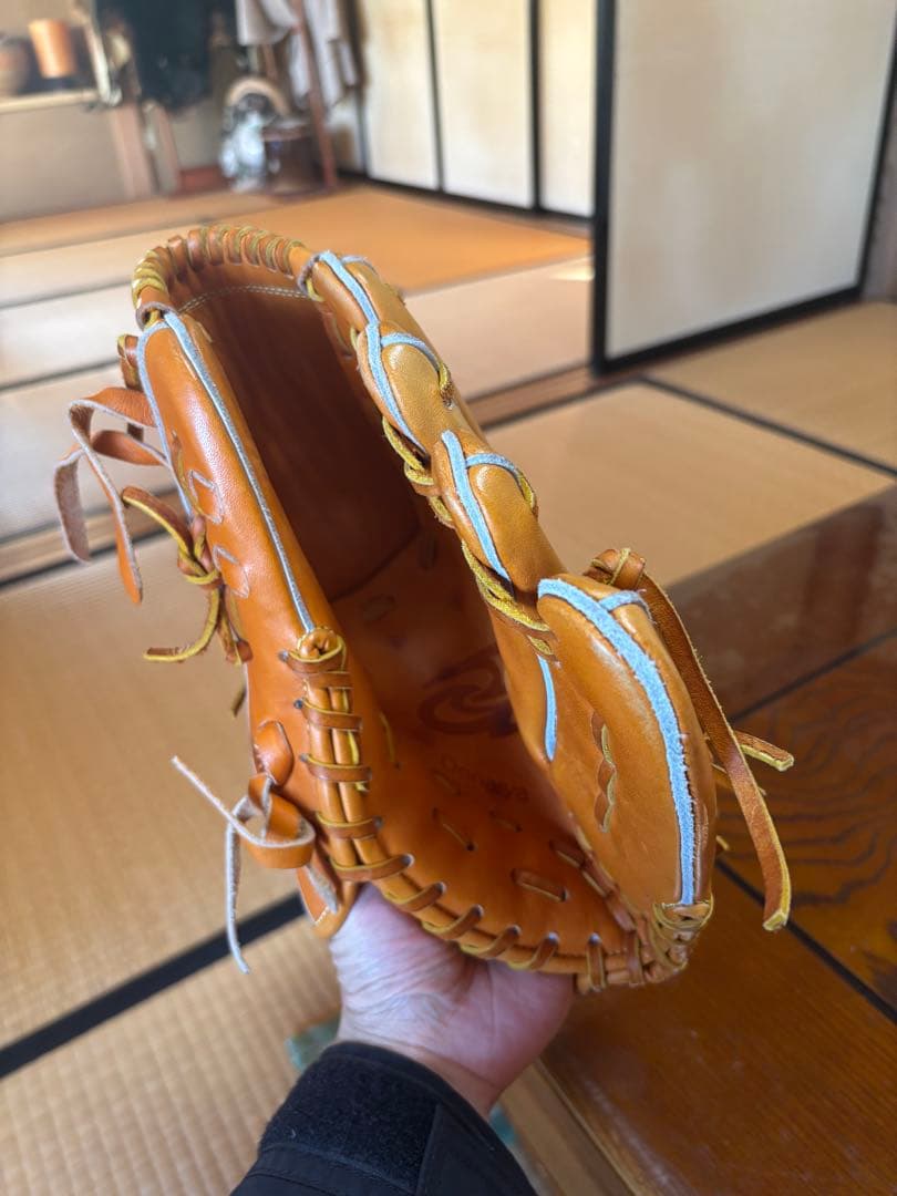 ドナイヤ　投手用グローブ