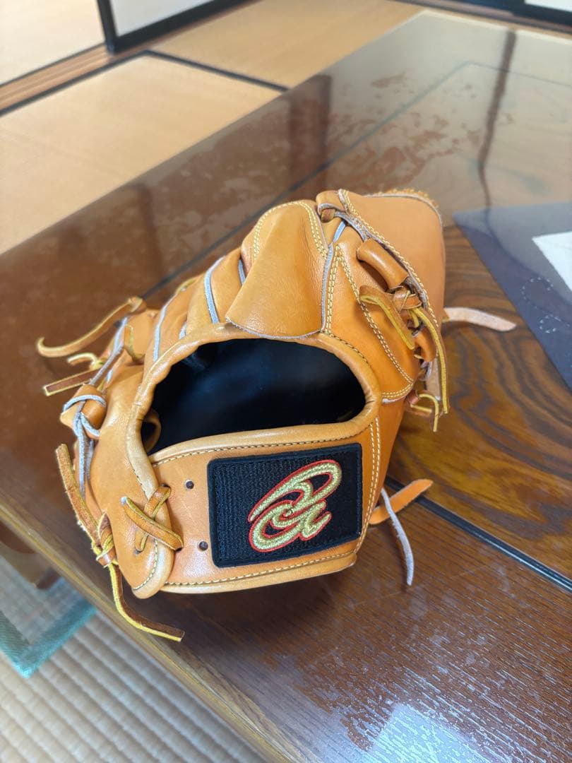 ドナイヤ　投手用グローブ