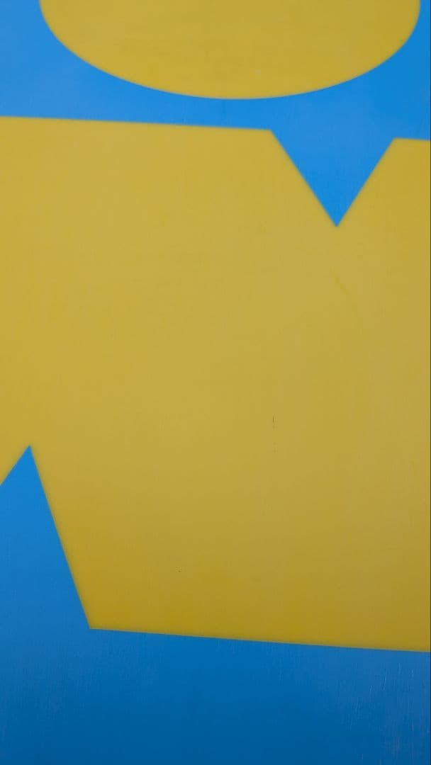 波*つ様 BURTON PROCESS VR 155×BURTON CARTEL