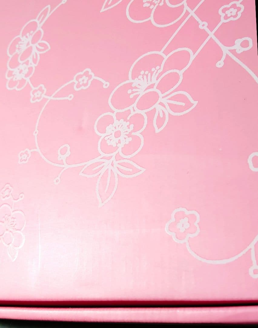 BTS 紅梅 廣州窯 クァンジュヨ KwangJuYo 1人麺鉢セット