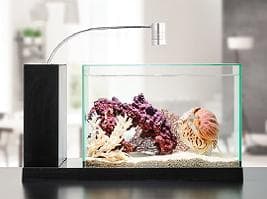 ジェックス ＡＱＵＡ－Ｕ ＷＩＤＥ(アクアユーワイド) ブラック