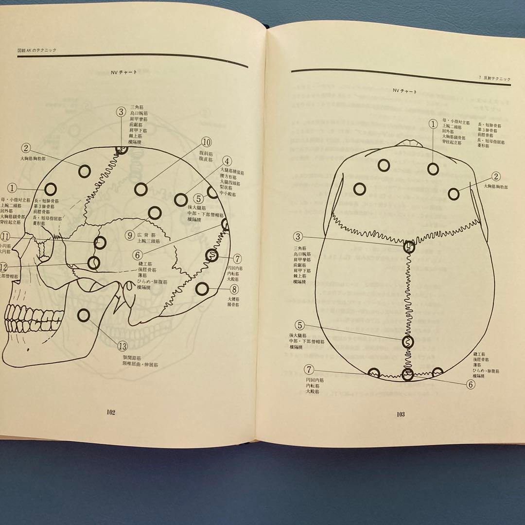 図説 AKのテクニック