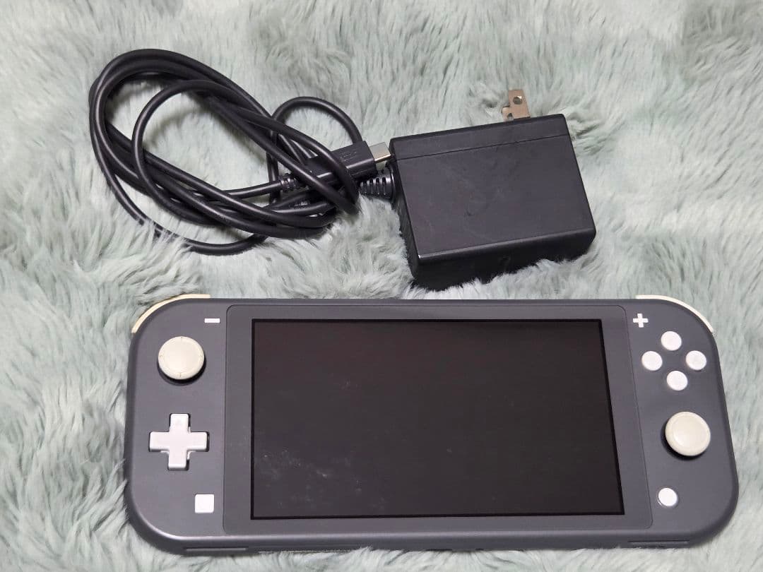 グレー　Nintendo Switch Lite　充電器付き スイッチライト