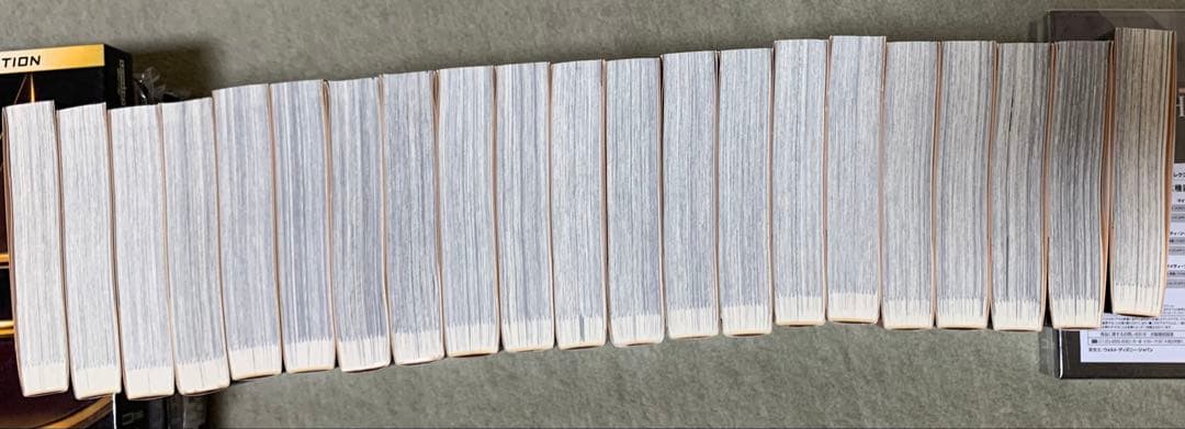 REBORN! 文庫本全21巻セット