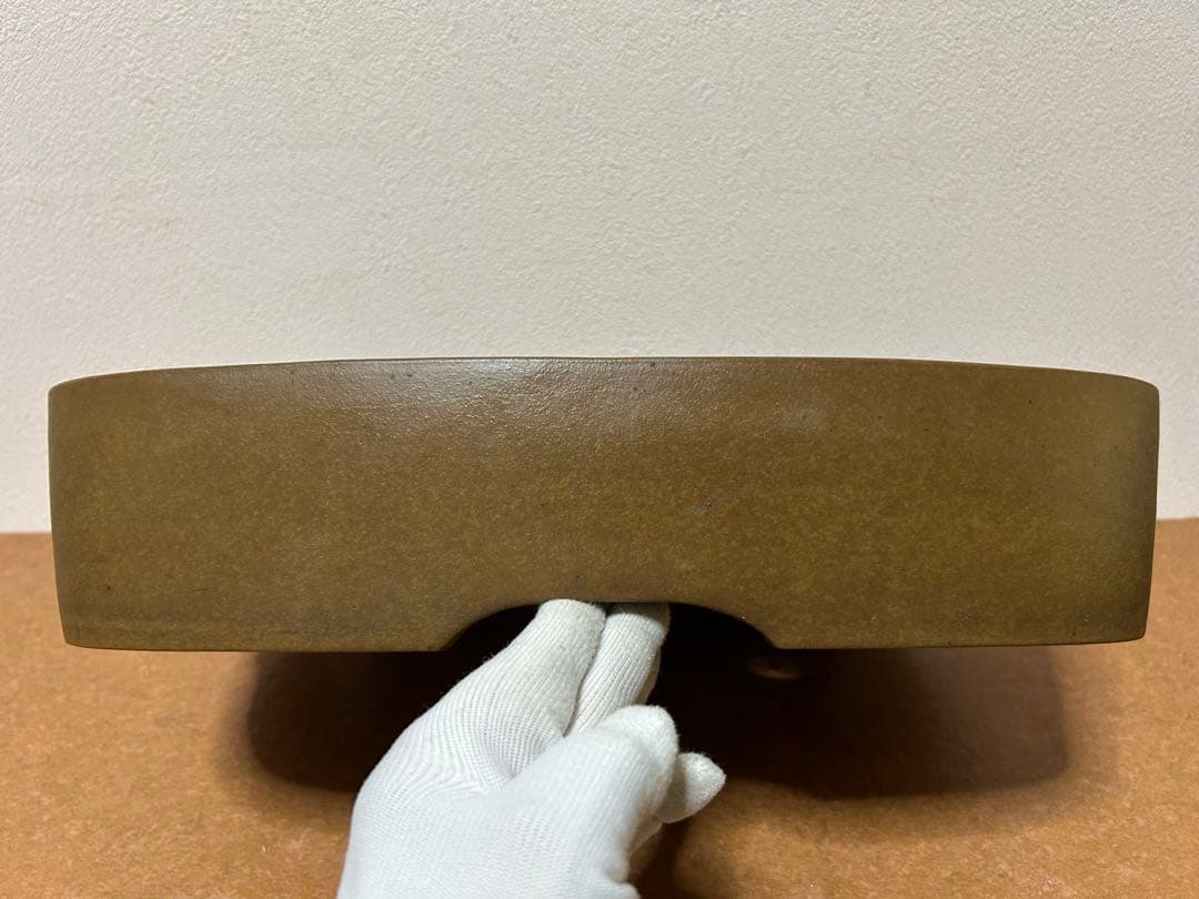 萬留平　盆栽鉢　山野草