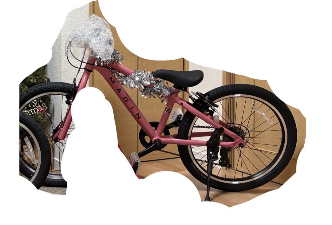 MARIN DONKY JR22 MAT PINK 22インチ