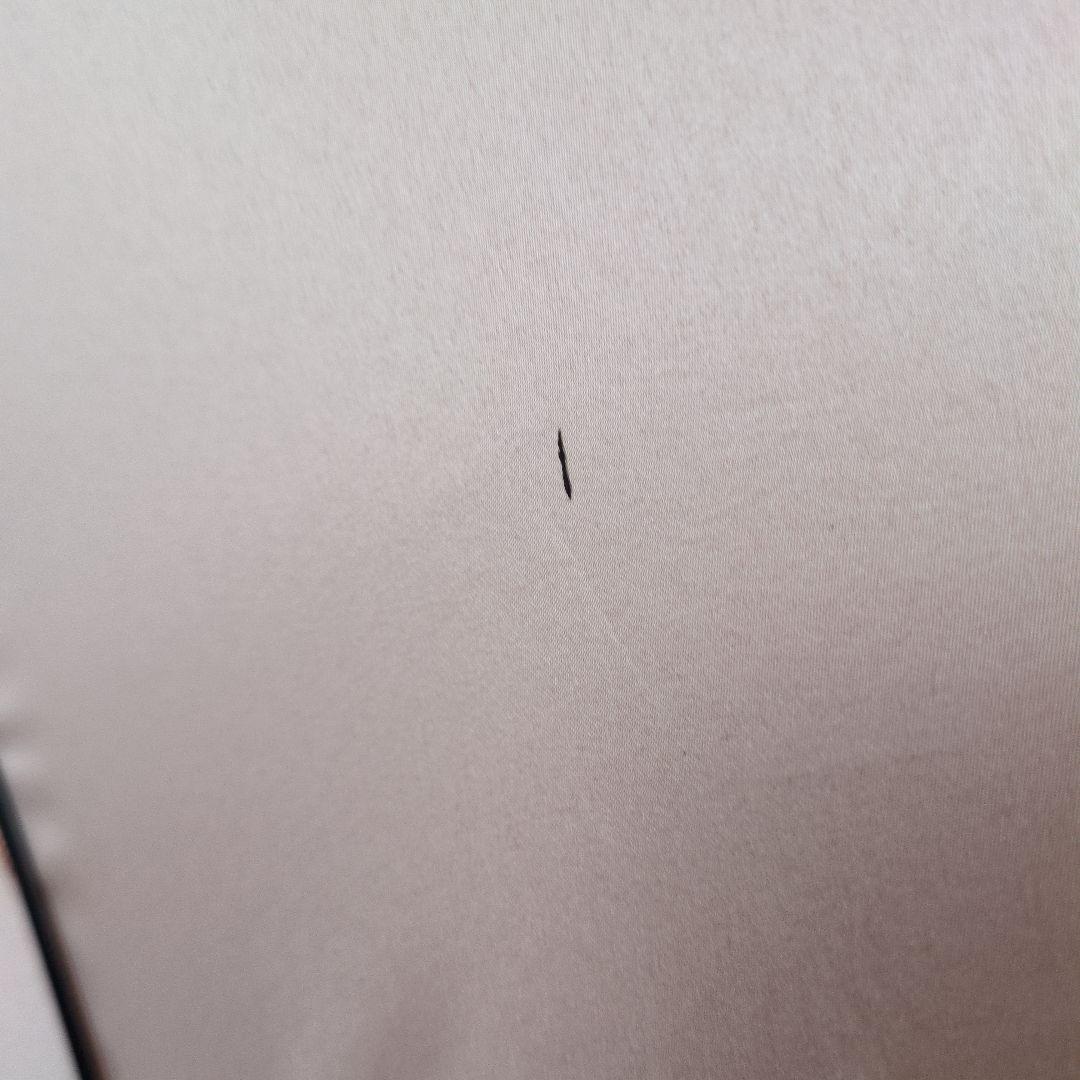 希少デザイン　vivienne westwood 長傘　雨傘　太陽　パッション