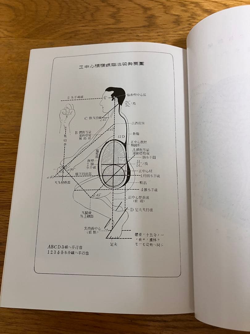 国民医術天真法　肥田春充　平田内臓吉