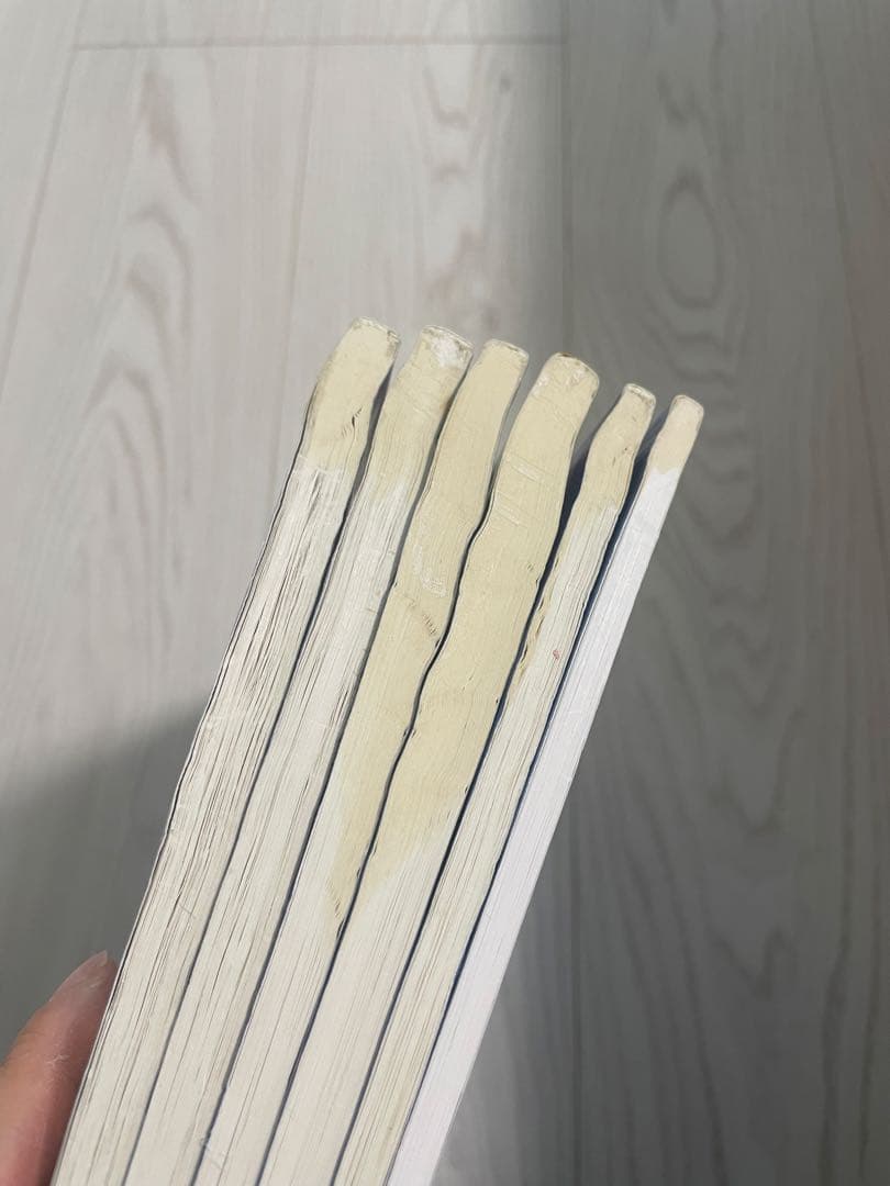 予習シリーズ 演習問題集 国語 算数 6年生 解答・解説付き 早稲アカ 四谷大塚