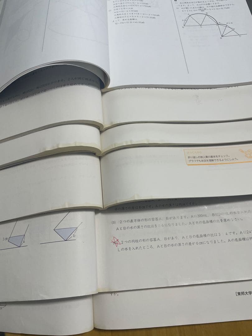 予習シリーズ 演習問題集 国語 算数 6年生 解答・解説付き 早稲アカ 四谷大塚