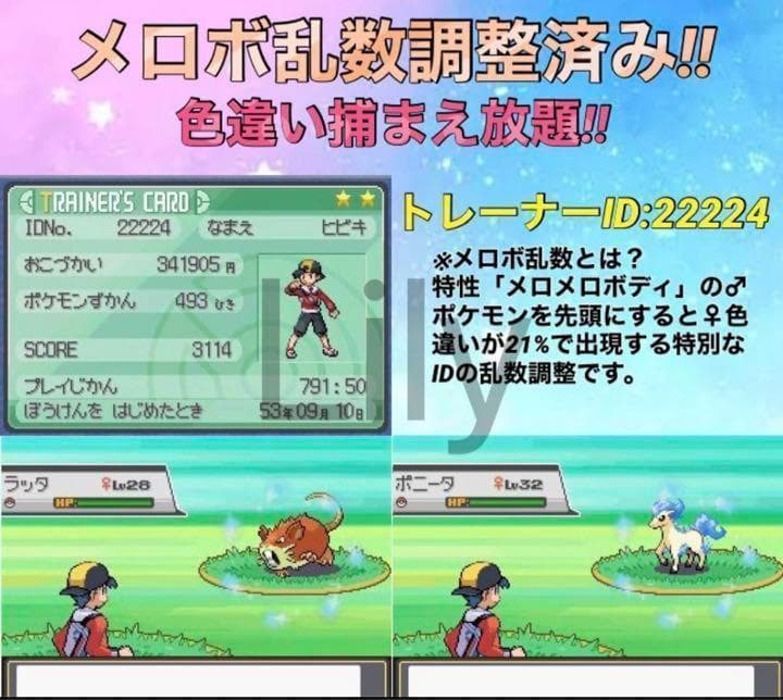 ポケットモンスター ソウルシルバー　ケース付き