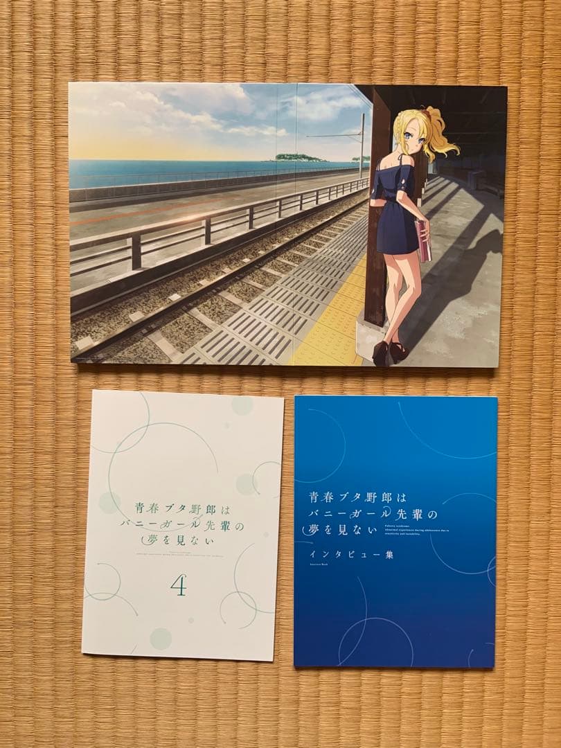 青春ブタ野郎はバニーガール先輩の夢を見ない　DVD版