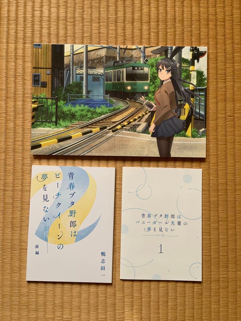 青春ブタ野郎はバニーガール先輩の夢を見ない　DVD版