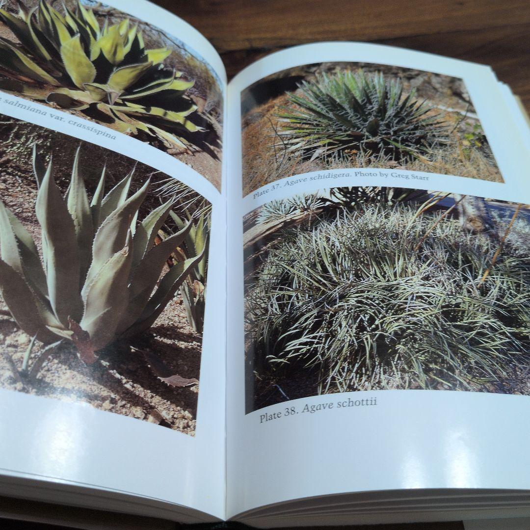 洋書 Agaves, Yuccas, and Related Plants