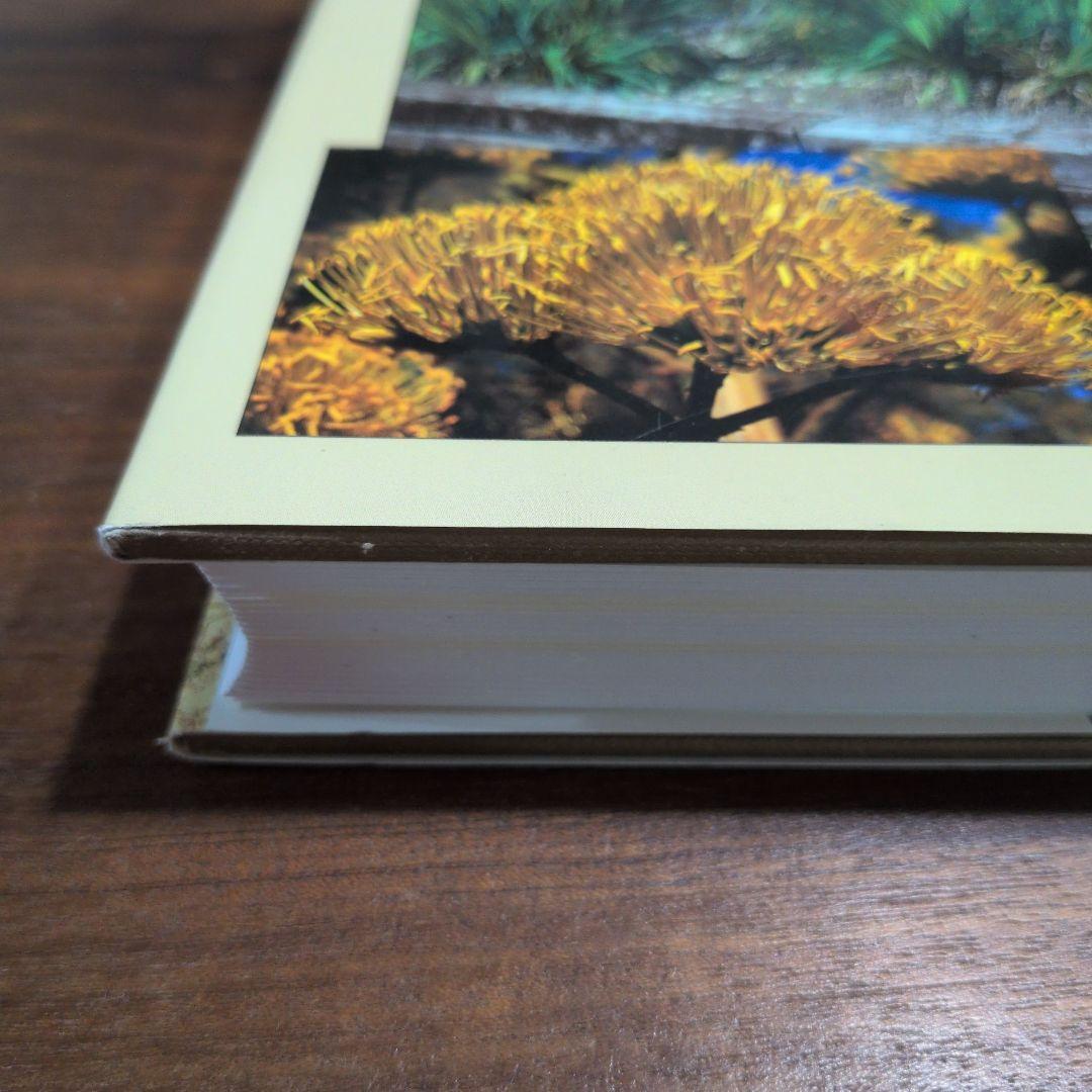 洋書 Agaves, Yuccas, and Related Plants