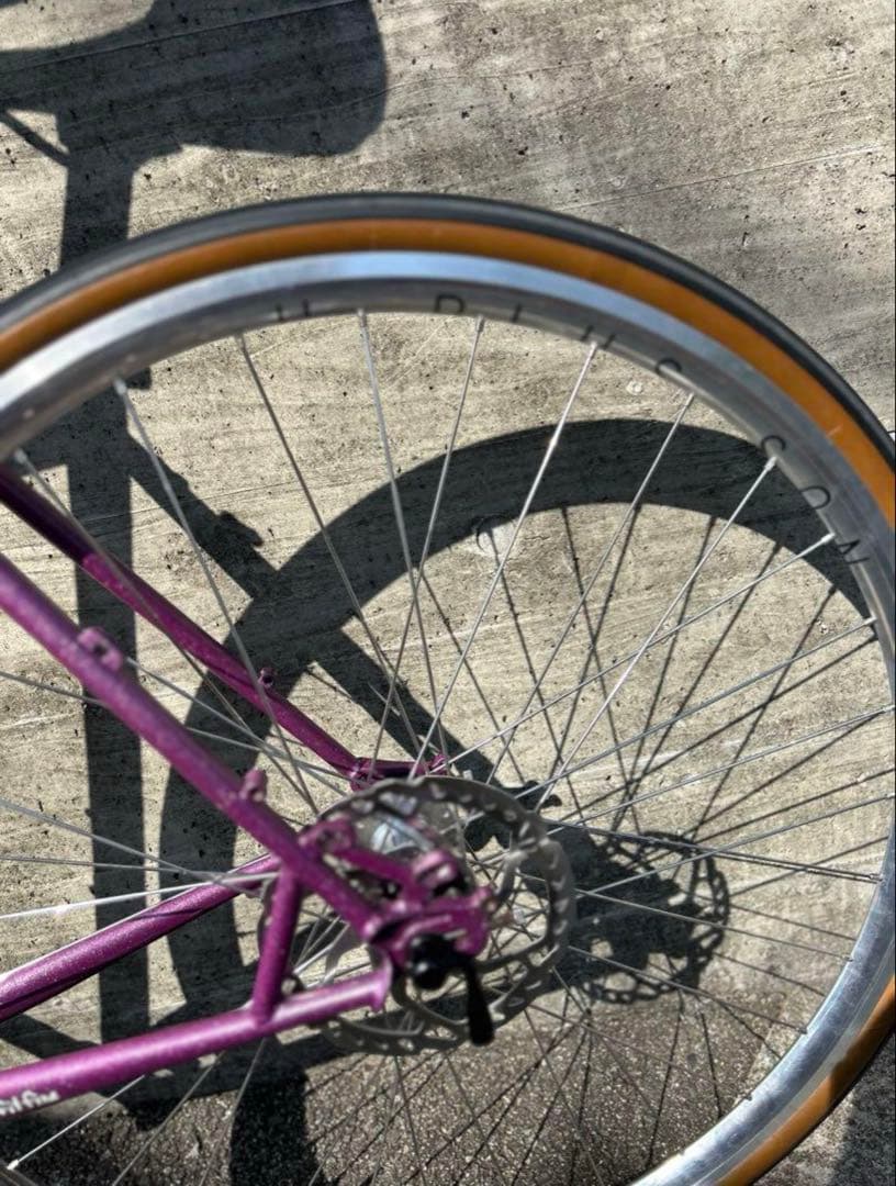 サーリー　ストラグラー　画像のセットプラス　シムワークスタイヤ付き