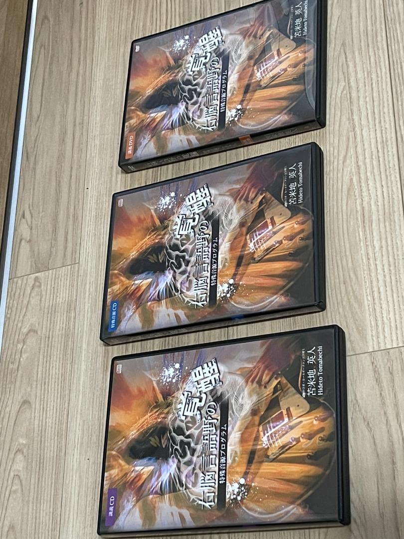 【ほぼ新品】苫米地英人CD+DVD右脳言語野の覚醒特殊音源プログラム