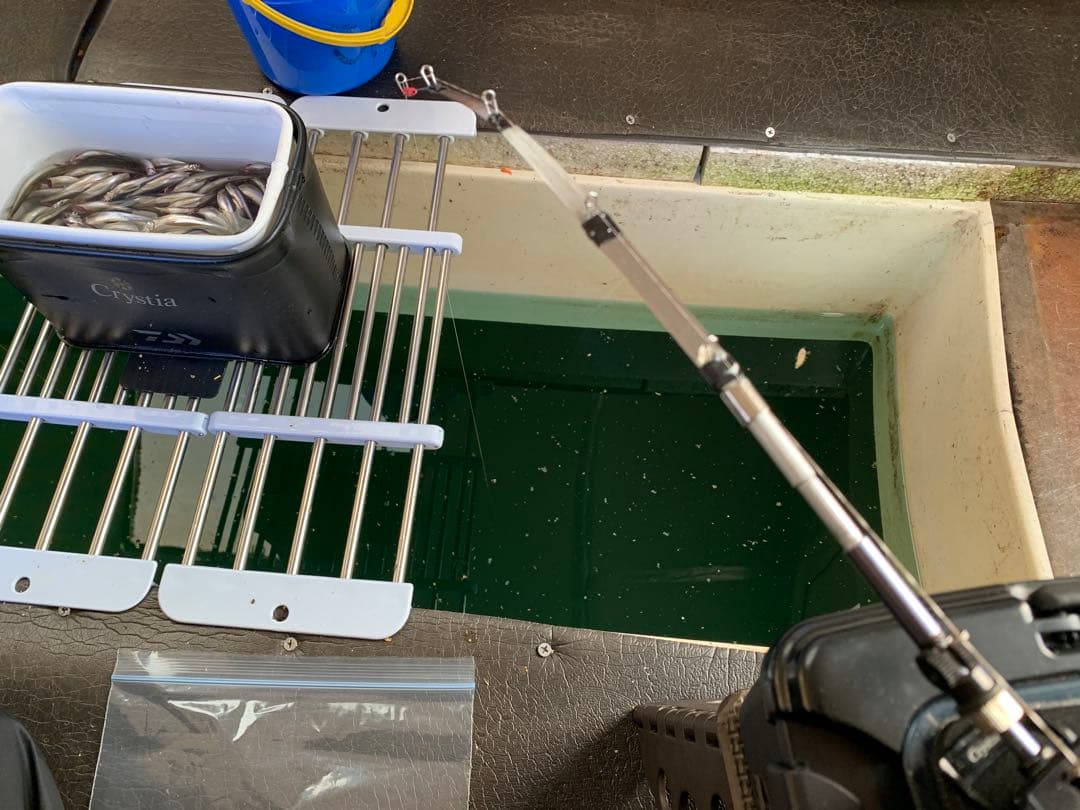 ワカサギステンレス穂先　 300ミリ　　２本