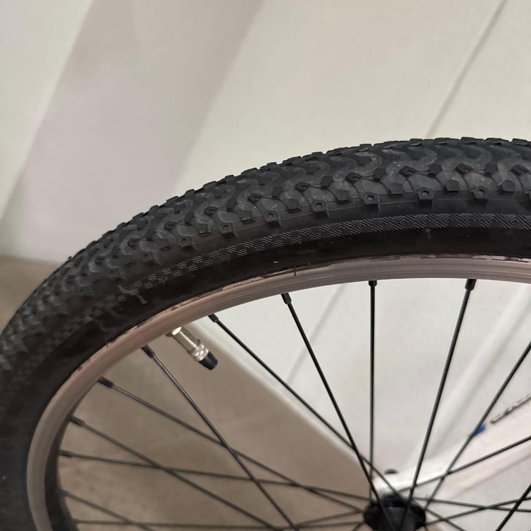 ルイガノ 子ども用自転車 24インチ 300mm 21段変速