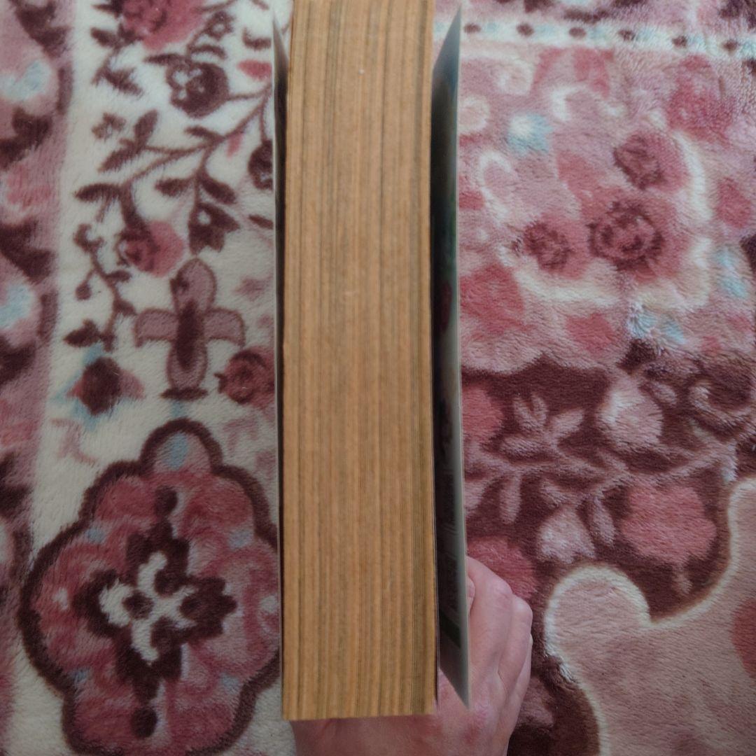 ★百鬼夜行抄　１巻〜３１巻 　　　　　　　　　　★２７巻ありません★