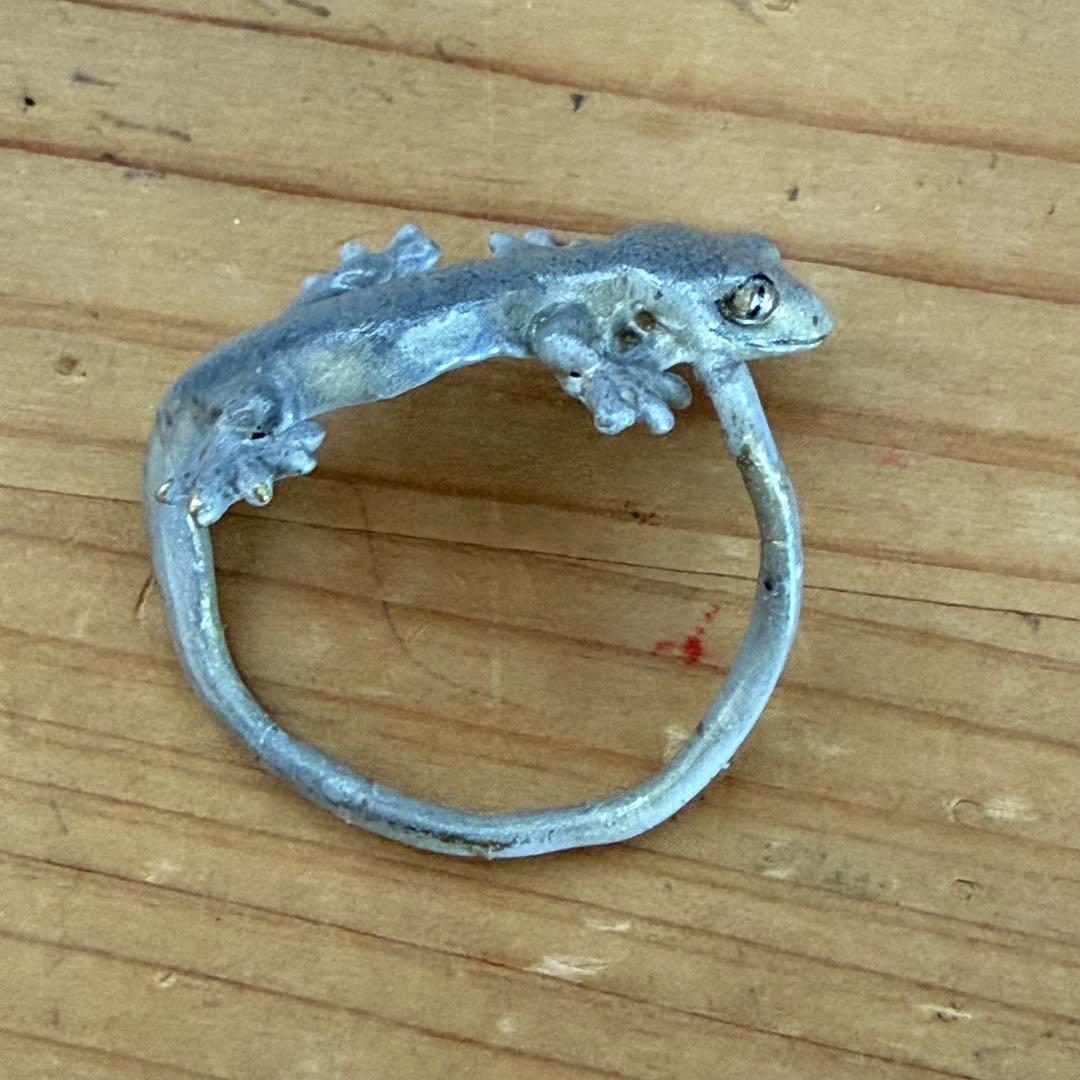 NINA ニナ トカゲ４個セット