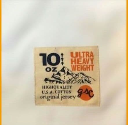 go slow caravan ✕ NISSAN コラボロンティー