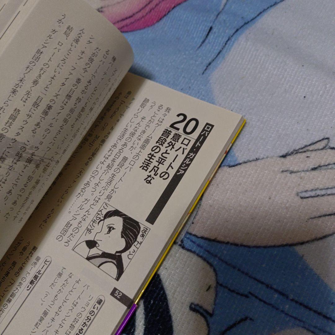 竜虎の拳の謎 : 最強無敵!極限流空手のベールを剥ぐ