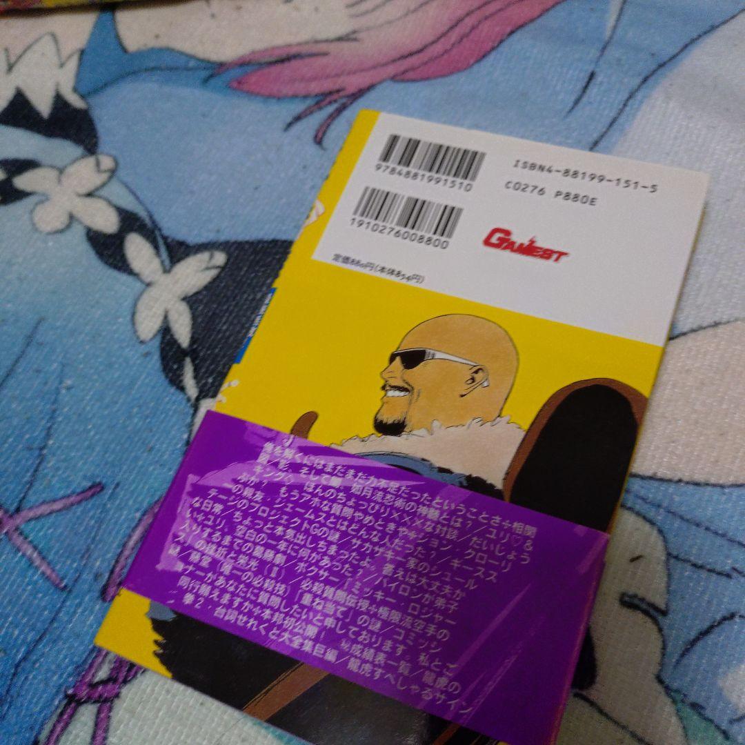 竜虎の拳の謎 : 最強無敵!極限流空手のベールを剥ぐ